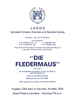 Die Fledermaus